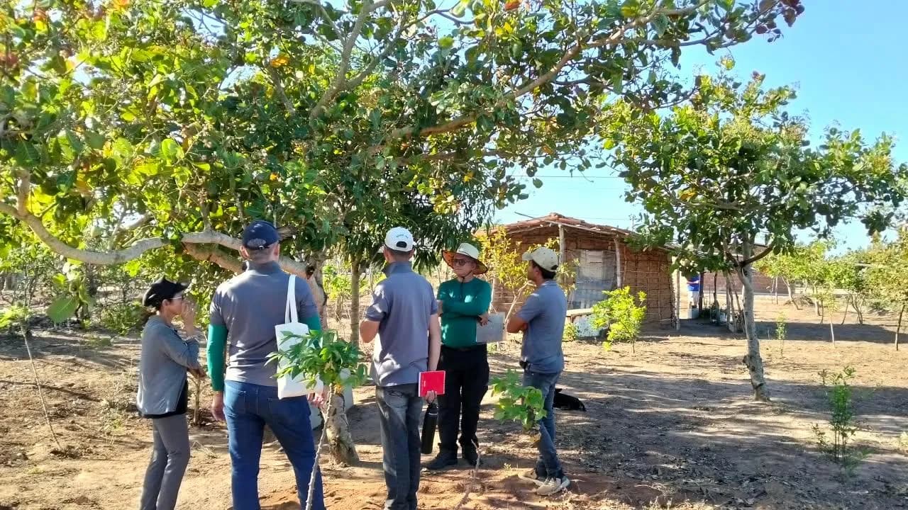 Da Terra à Mesa: agroecologia que transforma vidas